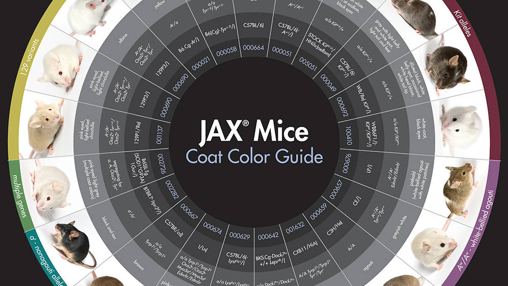 JAX Â® Mice, Clinical & Research Services Posters
