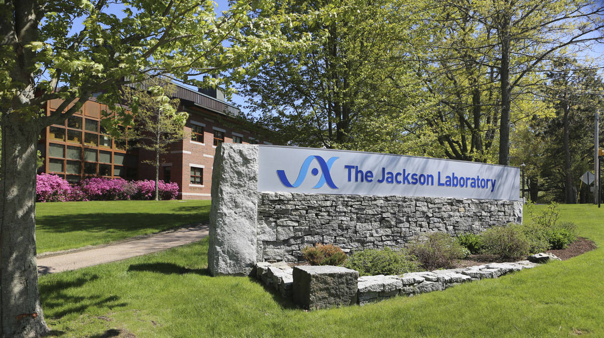 The Jackson Laboratory Headquarters in Bar Harbor, Maine