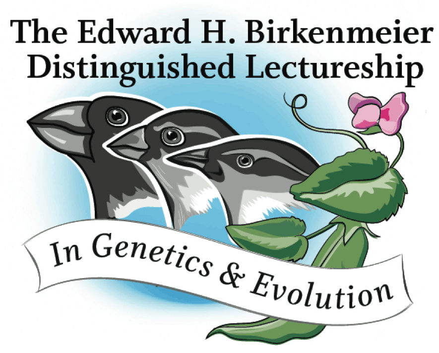 Birkenmeirer Lecture Series
