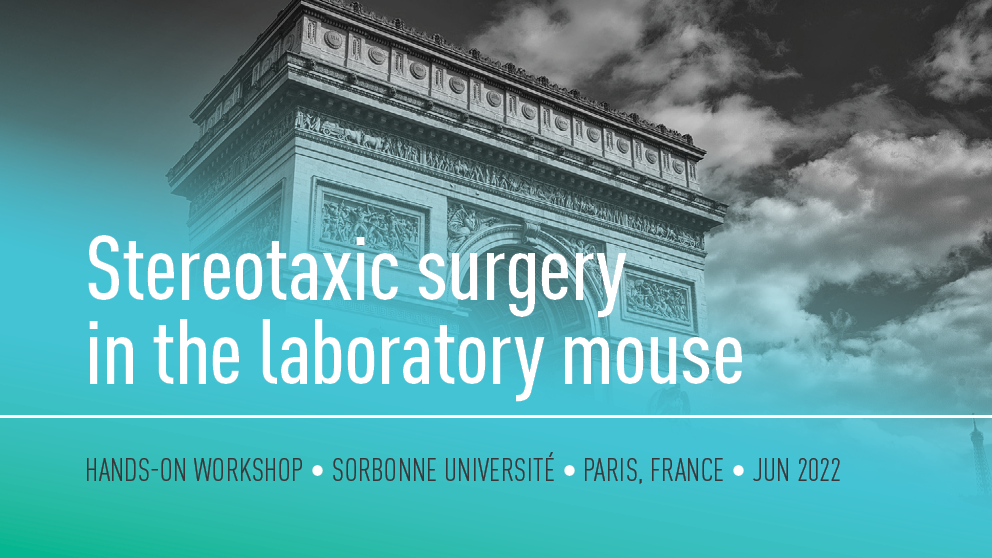 june 2022 stereotaxic surgery in the laboratory mouse hands-on workshop sorbonne university paris france
