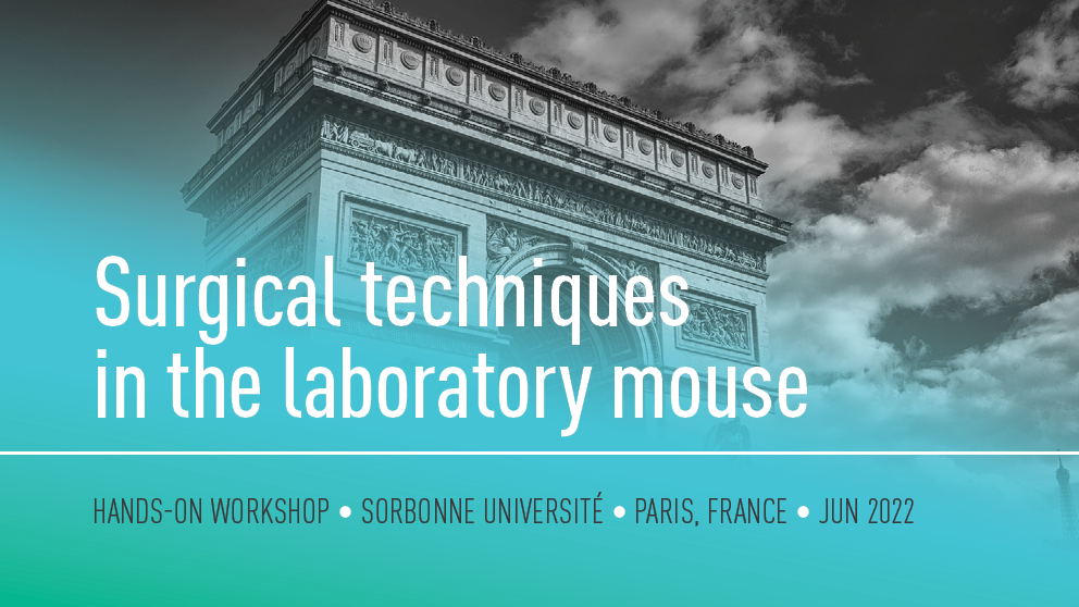 june 2022 surgical techniques in the laboratory mouse hands-on workshop sorbonne university paris france