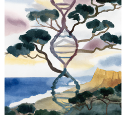 Watercolor painting, Tree in the shape of a helix