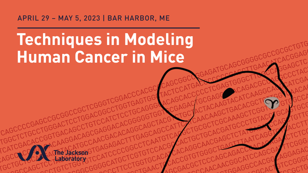 Techniques in Modeling Human Cancer in Mice thumbnail