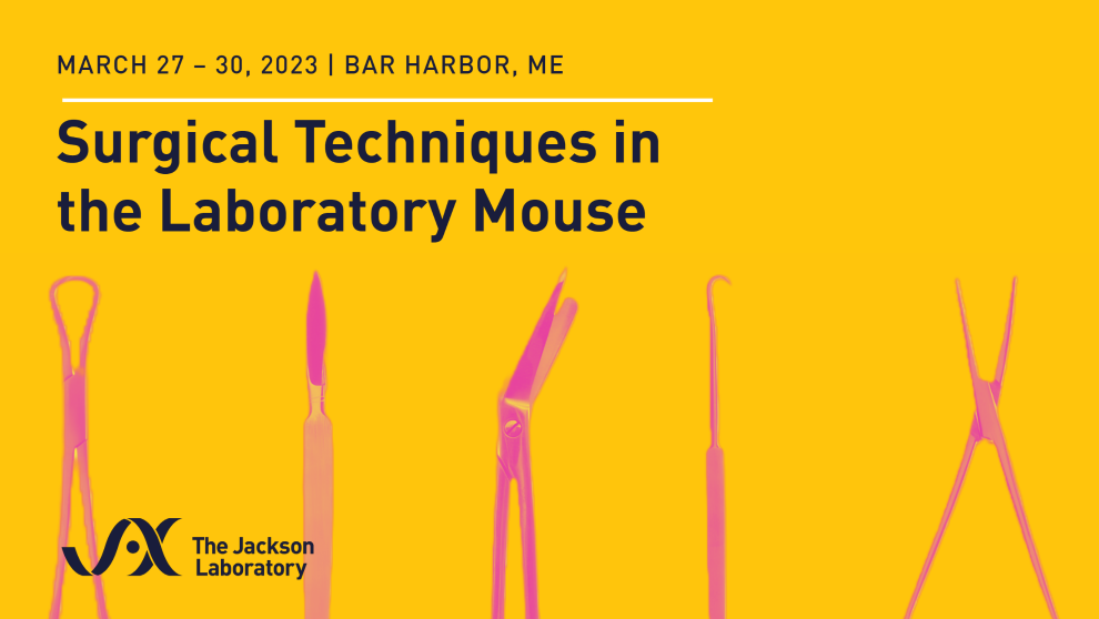 Workshop on the surgical techniques in the laboratory mouse thumbnail