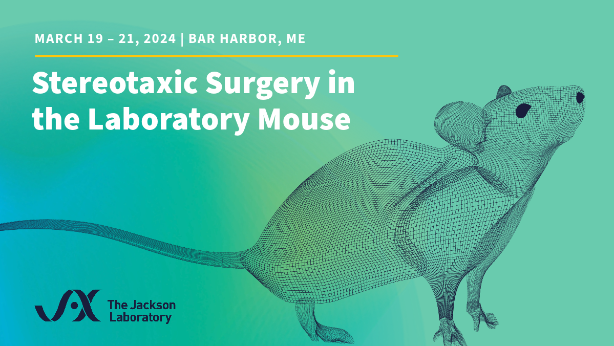 Blue, green background with digitally generated outlines black mouse. Black JAX logo in bottom left. Course title: Stereotaxic Surgery in the Laboratory Mouse. Dates: March 19-21, 2024 Bar Harbor Maine. 