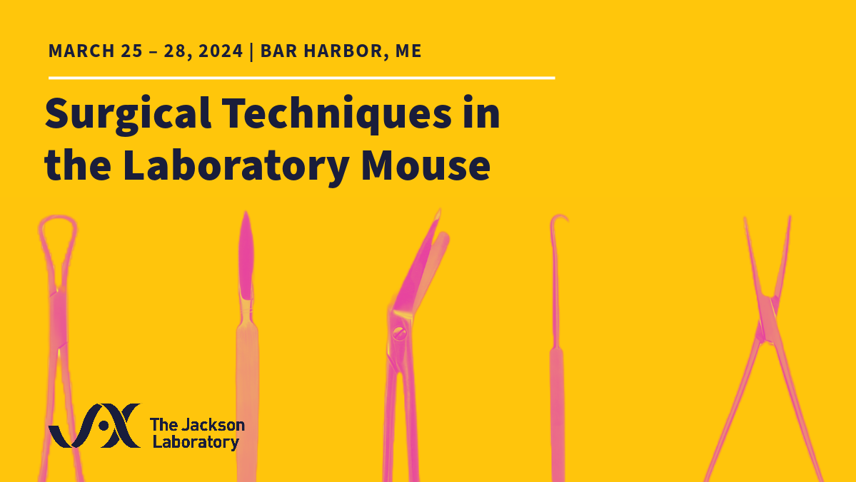 Thumbnail: bright yellow background with light pink surgical tools. Black JAX logo in the bottom left corner. Title: Surgical Techniques in the Laboratory Mouse. Dates: March 25-28, 2024 in Bar Harbor Maine.