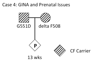 Case 4: GINA and Prenatal Issues graphic
