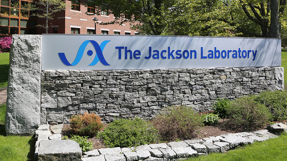 The Jackson Laboratory campus in Bar Harbor, Maine in Spring