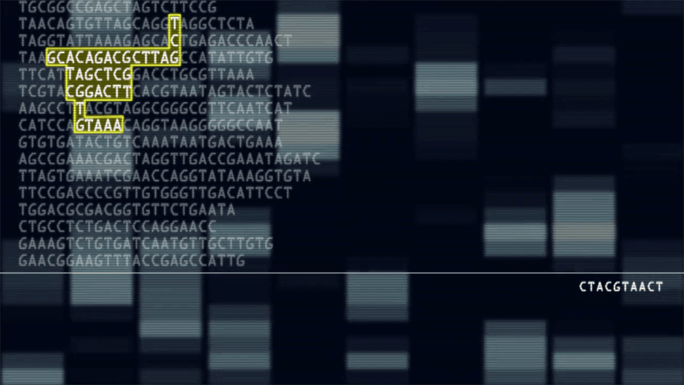 Genome image