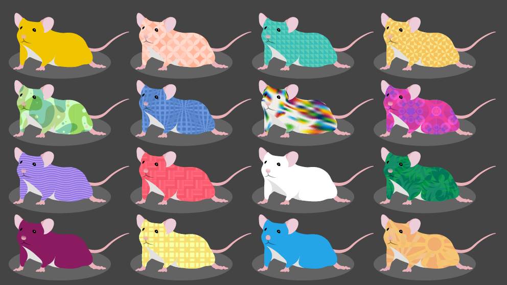 Diversity Outbred Mice