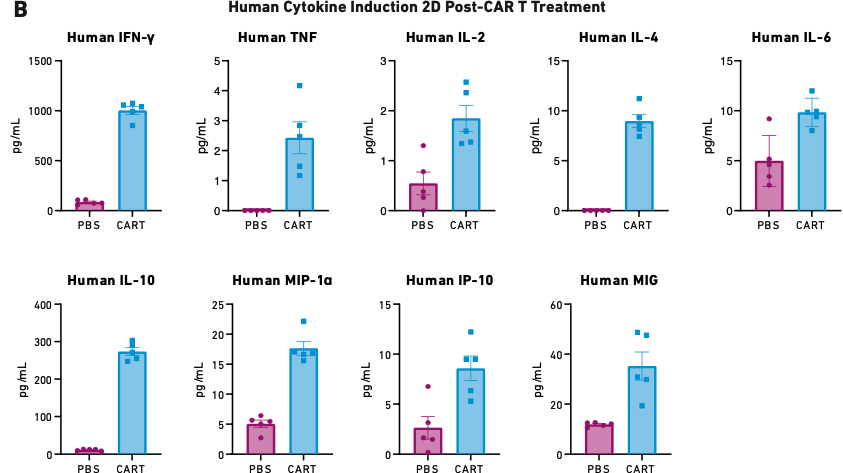 Characterization of CAR T Cell Therapies - Fig2B Human Cytokine Induction 2D Post-CAR T Treatment