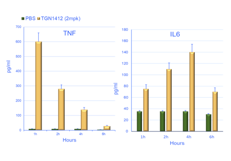 Effect of the Treatment of PBMC Humanized Mice with CD28 Superagonist Drug TGN1412