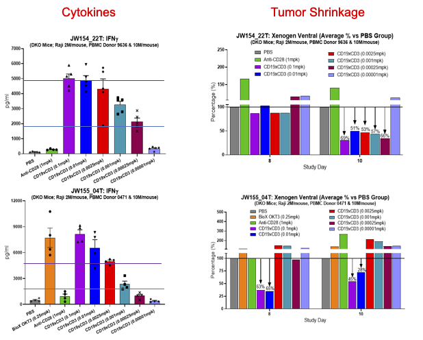 Anti-Tumor Efficacy and Accute Toxicity in Mice Humanized with PBMCs