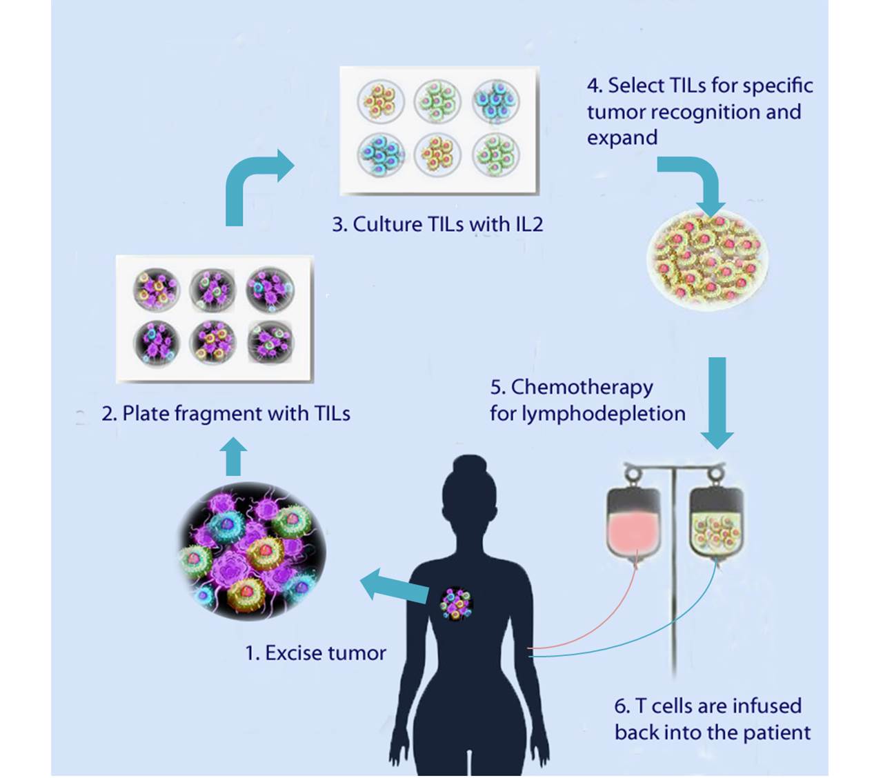 Adoptive cell therapies for cancer