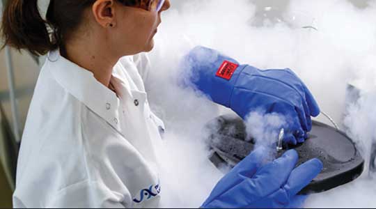 June cryopreservation a cool way to stretch your research dollars