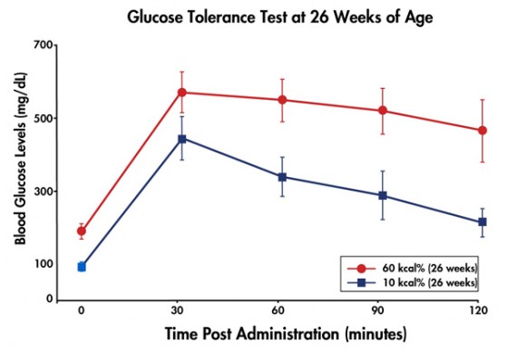 dio glucose tolerance