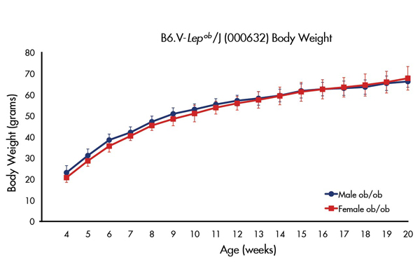 Figure 1. Weekly body weight of male and female B6.Cg-Lepob/J homozygotes (ob/ob)