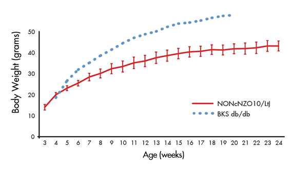 Figure 1. Modest weight gain of NONcNZO10/LtJ Mice