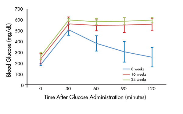 Figure 3. Glucose intolerance by 16 weeks of age