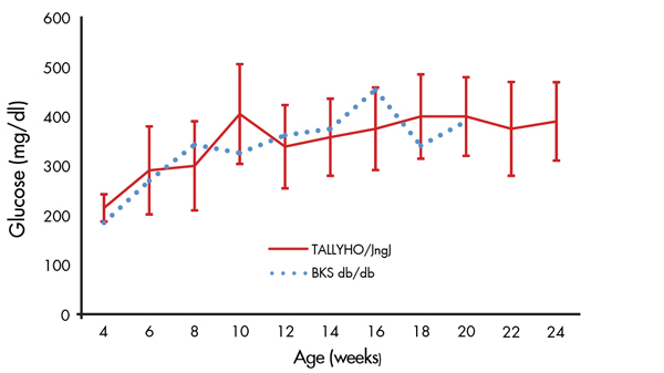 Figure 2. Elevated non-fasting blood glucose in TALLYHO/JngJ mice