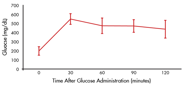 Figure 3. Glucose intolerance by 8 weeks of age