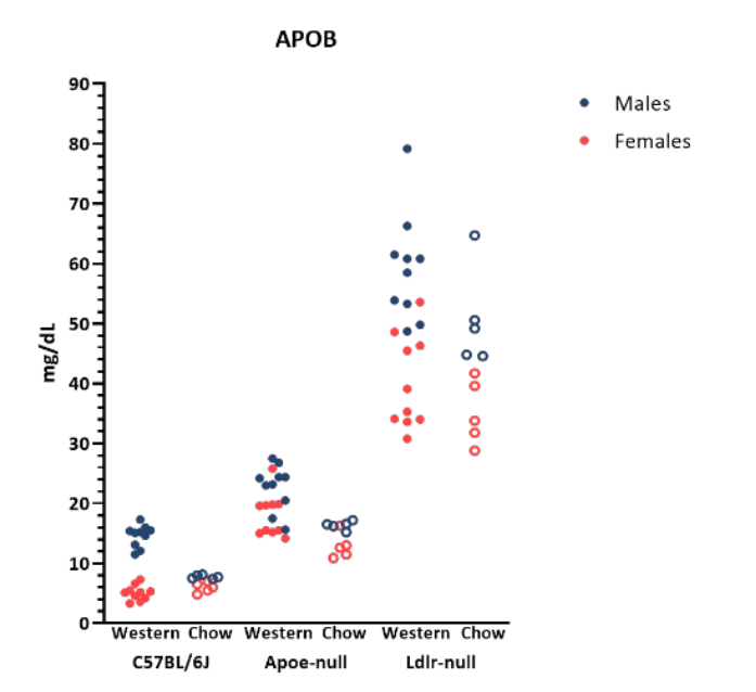 Phenotypes of LDLR & APOE Knockout Mice - APOB