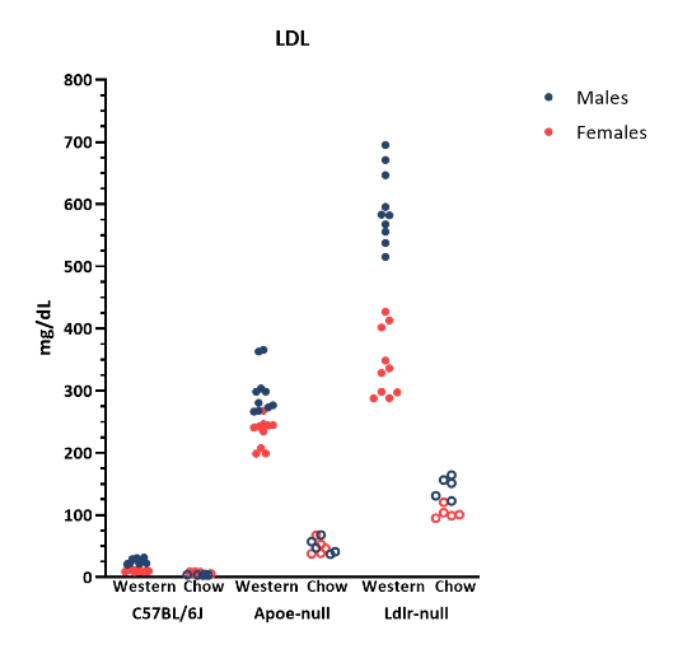 Phenotypes of LDLR & APOE Knockout Mice - LDL