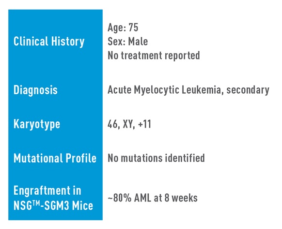AML Studies - J000106124*, No Mutations Identified