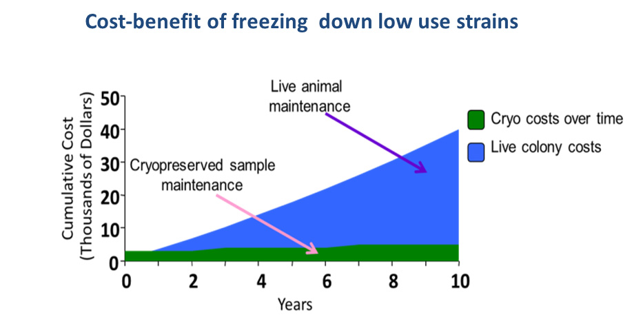 cost benefit of freezing down low use strains