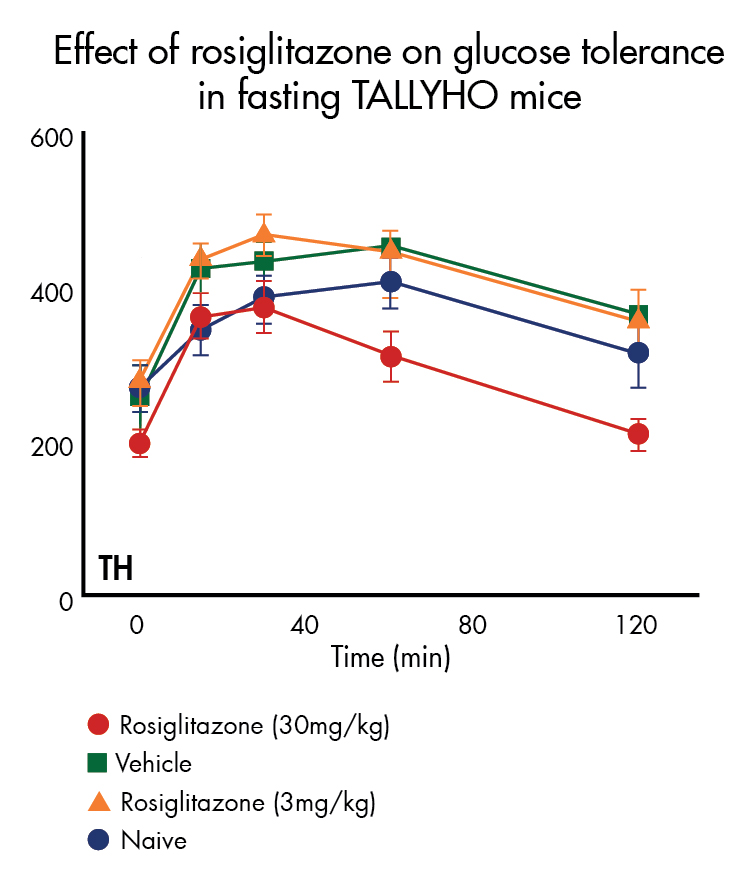 Effect of rosiglitazone on glucose tolerance in fasting TALLYHO mice