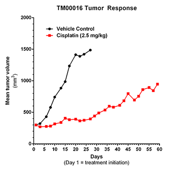 TM00016 Tumor Response Graph