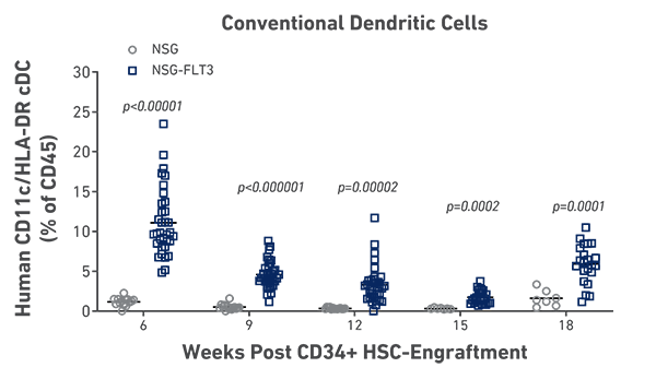 CD34 humanized NSG-FLT3 demonstrate increased presence of conventional dendritic cells following engraftment