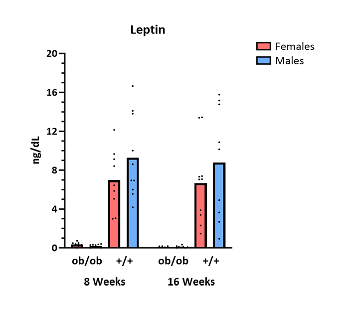 Mouse Phenotype Info - Fig.4 Serum Chemistry, Leptin - JAX® Mice Strain BTBR.Cg-Lepob/WiscJ (004824)