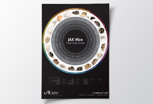 JAX® Mice Coat Color Poster