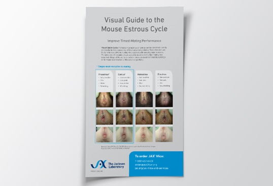 JAX® Visual Guide to the Mouse Estrous Cycle Poster