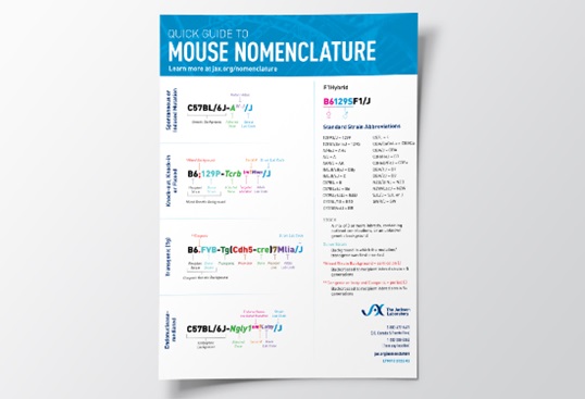 JAX® Quick Guide to Mouse Nomenclature Poster