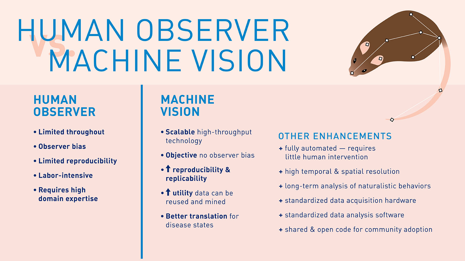 An infographic describing the difference between machine learning and human observation