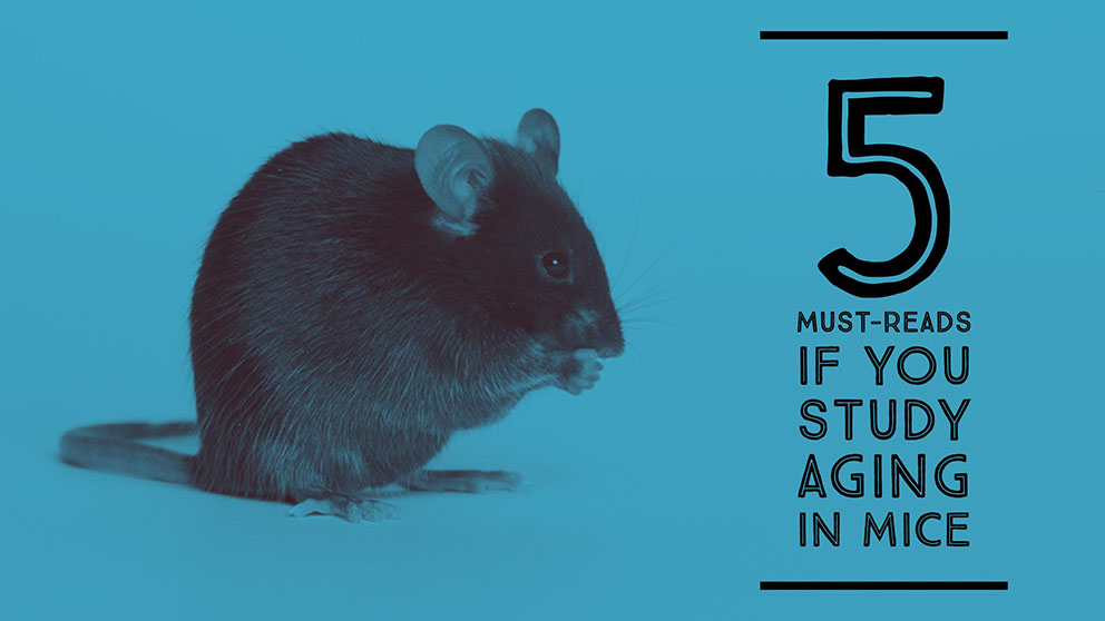 November five must reads if you study aging in mice