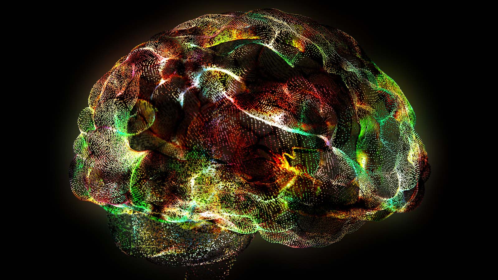 A digital image of a computerized brain, symbolizing dementia and Alzheimer's Disease research