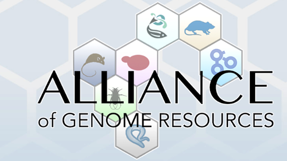 Alliance of Genome Resources logo