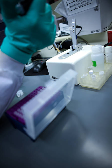 Extracting DNA from liver samples in Clinical Genomics and Translational Technology Laboratory at The Jackson Laboratory. Extraction is part of the high-throughput sequencing pipeline.