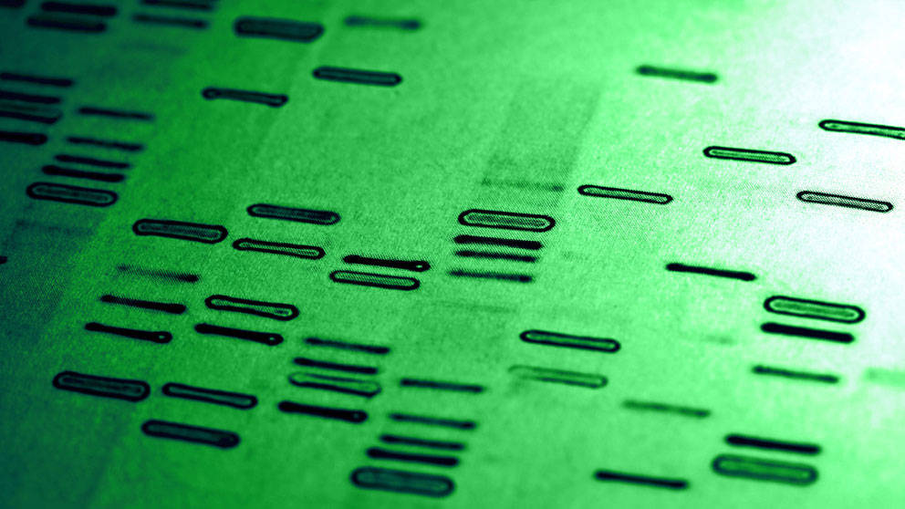 High throughput sequencing, precision medicine, genomic tools