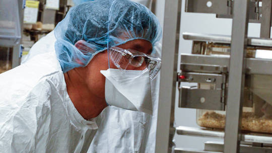 A technician inspects PDX mice in a cancer mouse room at The Jackson Laboratory in Sacramento, Calif.