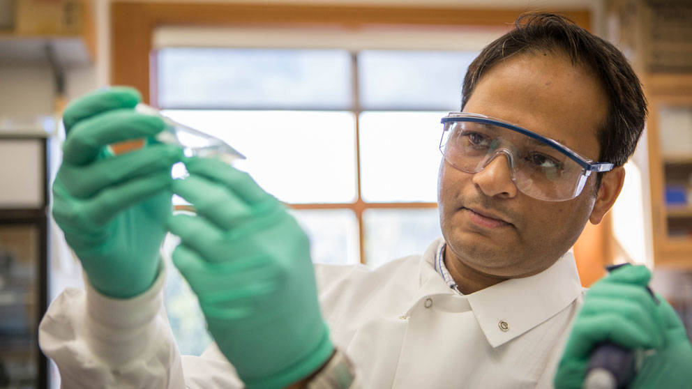 Vivek Kumar, Addiction Research at The Jackson Laboratory