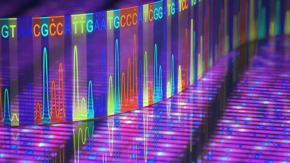 Bridging the gaps in DNA sequencing