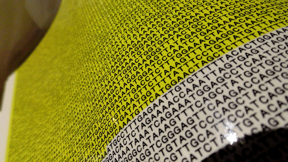 Part of the DNA sequence from a human genome. Photo courtesy Ian Glover, Flickr