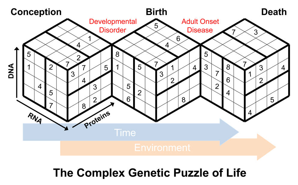 Complex genetic puzzle of life