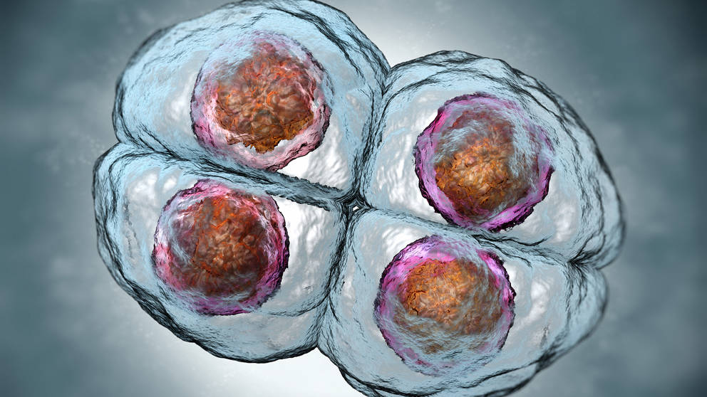 Are we ready? Genome engineering approved for experiment in viable human embryos
