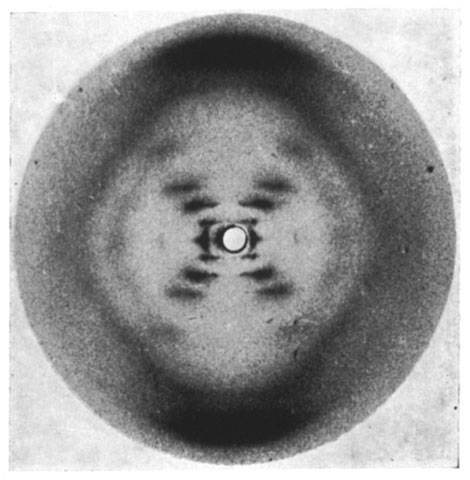 Photo credit: © Franklin, R. and Gosling, R.G./Nature  Rosalind Franklin's famous Photograph 51, which led to Watson and Crick's breakthrough insight into the double-helical structure of DNA