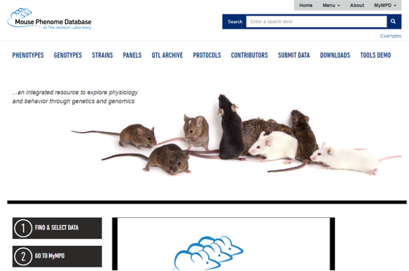 Mouse Phenome Database at The Jackson Laboratory